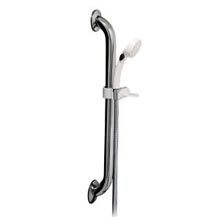 Alsons ADA Shower System w/36
