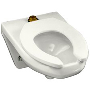 Kohler Kingston Wall-Hung Toilet with Top Spud